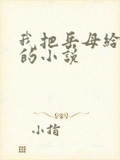 我把岳母给操了的小说