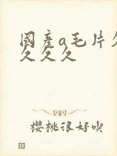 国产a毛片久久久久久