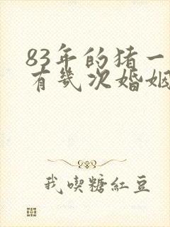 83年的猪一生有几次婚姻女