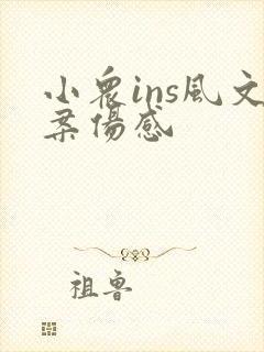 小众ins风文案伤感