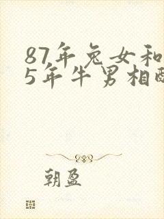 87年兔女和85年牛男相配婚姻如何