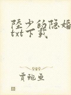 陆少的隐婚罪妻txt下载