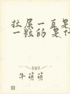 拉屎一直是一粒一粒的 是什么原因呢