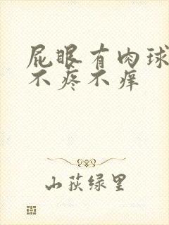 屁眼有肉球但是不疼不痒