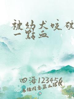 被幼犬咬破皮出一点血