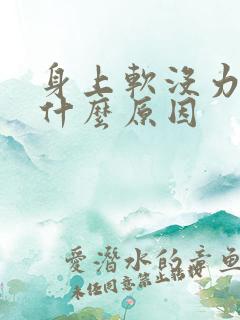 身上软没力气是什么原因