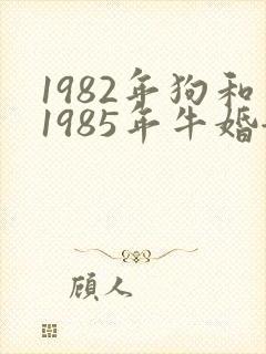 1982年狗和1985年牛婚姻怎么样