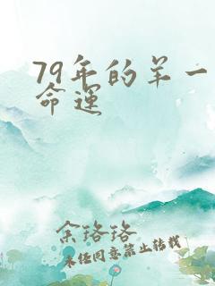 79年的羊一生命运