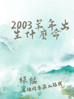 2003羊年出生什么命