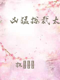 凶猛总裁太心急