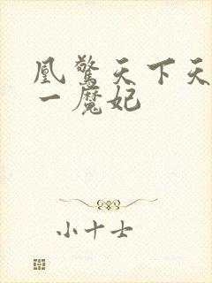 凰惊天下天才第一魔妃