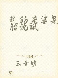 我的老婆是双胞胎沈识