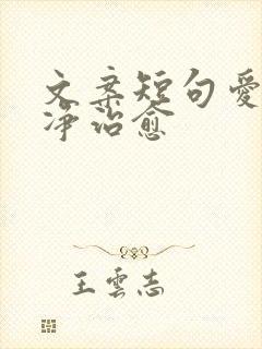 文案短句爱情干净治愈