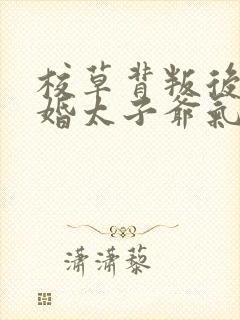 校草背叛后我闪婚太子爷气疯他苏念笙小说