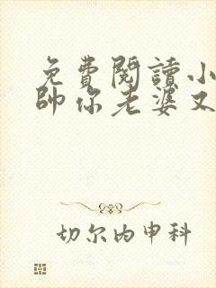 免费阅读小说少帅你老婆又跑了全文