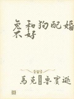 兔和狗配婚姻好不好