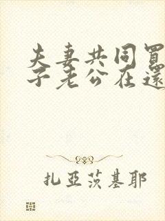 夫妻共同买的房子老公在还贷款离婚怎么办