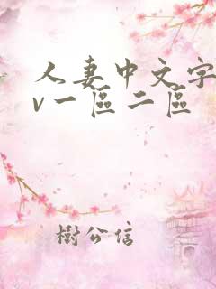 人妻中文字幕av一区二区