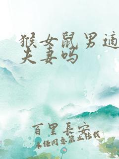 猴女鼠男适合做夫妻吗