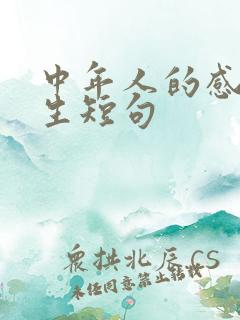 中年人的感悟人生短句