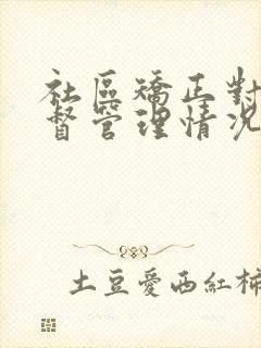 社区矫正对象监督管理情况怎么写