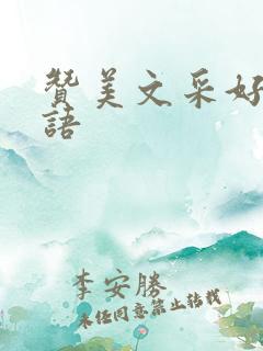 赞美文采好的词语