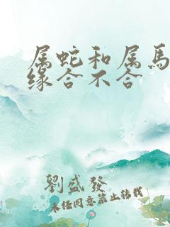 属蛇和属马的姻缘合不合