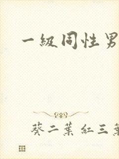 一级同性男男