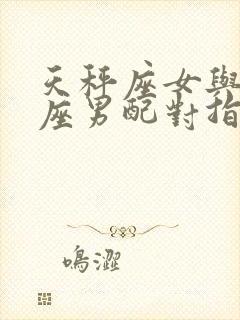 天秤座女与水瓶座男配对指数