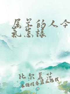 属羊的人今天运气怎样