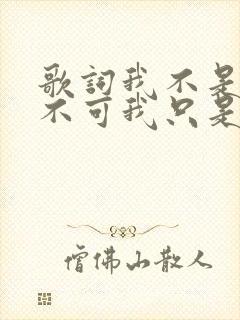 歌词我不是非你不可我只是对你不舍