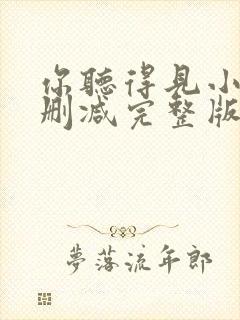 你听得见小说未删减完整版