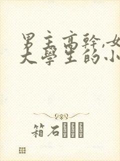 男主高干,女主大学生的小说