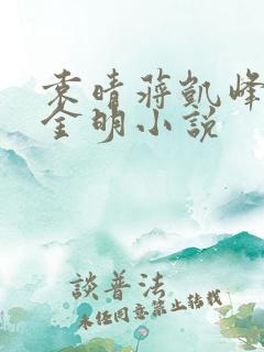 袁晴蒋凯峰严石金明小说