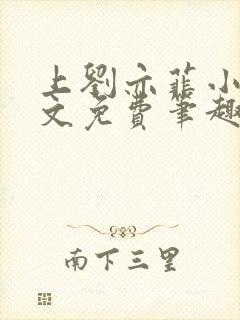 上刘亦菲小说全文免费笔趣阁