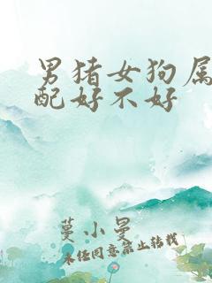 男猪女狗属相婚配好不好