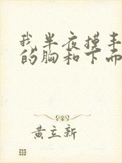 我半夜摸丰满亲的胸和下面小说