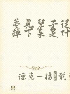 梦见儿子从高处掉下来是什么预兆