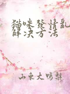 猫咪发情乱尿的解决方法