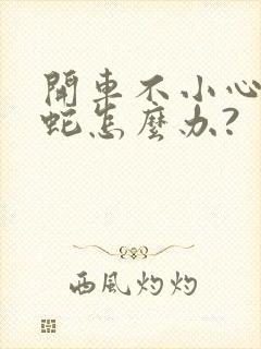 开车不小心压着蛇怎么办?