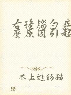 右后脑勺疼痛什么原因引起的女性