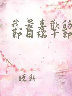 我最喜欢的传统节日端午节500字