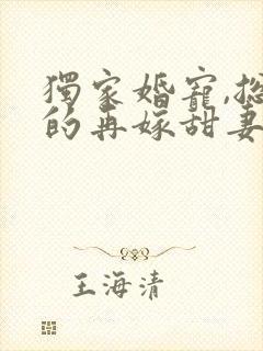 独家婚宠,总裁的再嫁甜妻