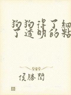 狗狗得了细小吐了透明的粘液