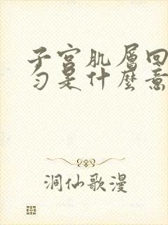 子宫肌层回声均匀是什么意思