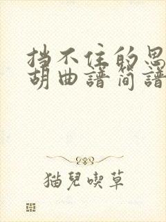 挡不住的思念二胡曲谱简谱