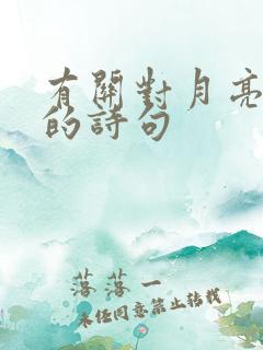 有关对月亮赞美的诗句