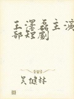 王泽磊主演的全部短剧