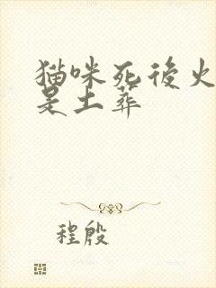 猫咪死后火化还是土葬