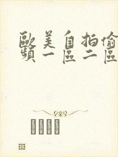 欧美自拍偷拍视频一区二区